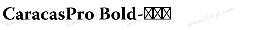 CaracasPro Bold字体转换